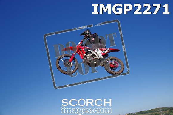 IMGP2271