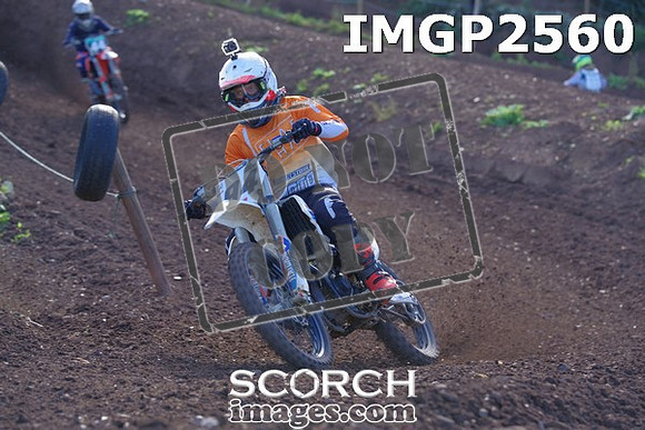 IMGP2560