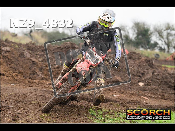 Experts-308