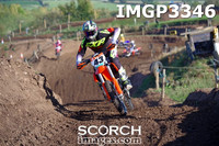 IMGP3346