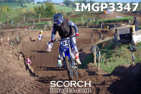 IMGP3347