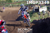 IMGP3349