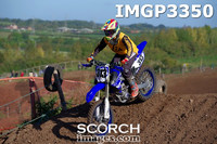 IMGP3350
