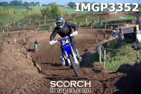 IMGP3352