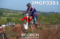 IMGP3351