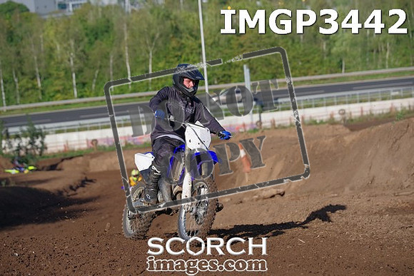 IMGP3442