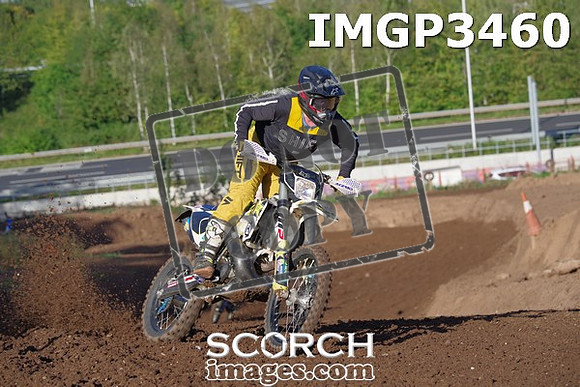 IMGP3460