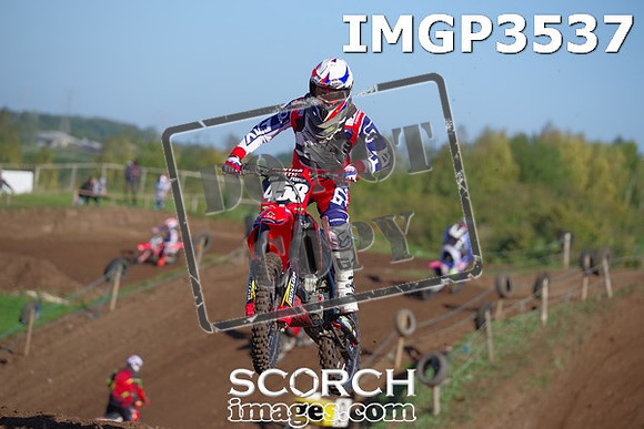 IMGP3537