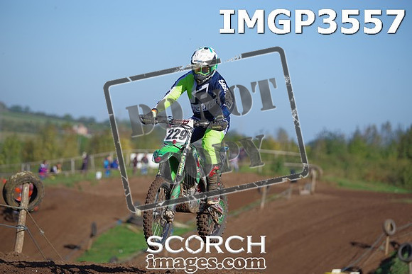 IMGP3557