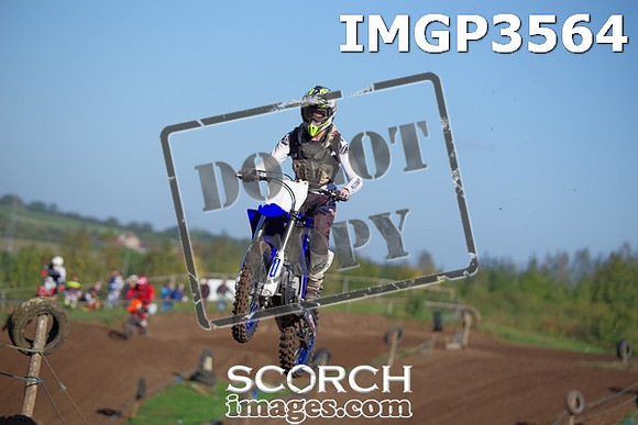 IMGP3564