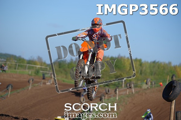 IMGP3566