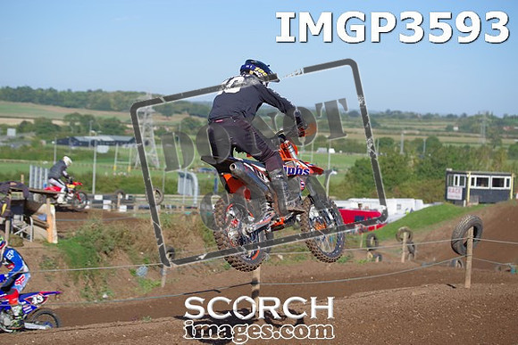 IMGP3593