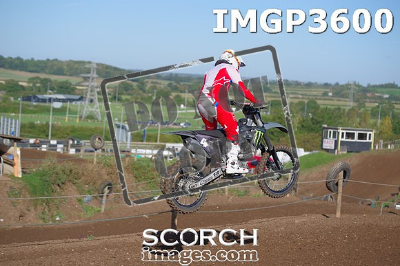 IMGP3600