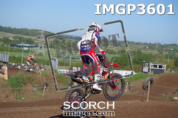 IMGP3601