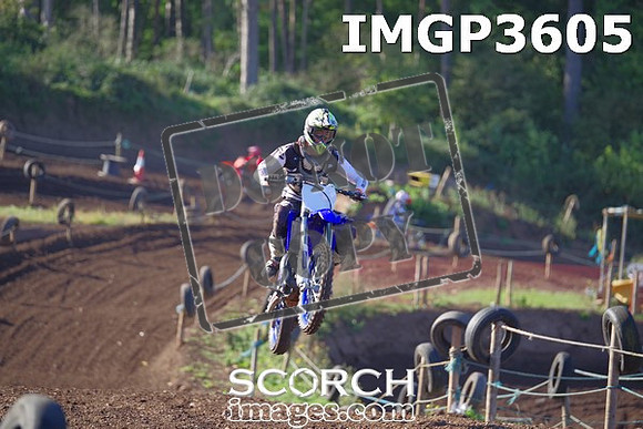 IMGP3605
