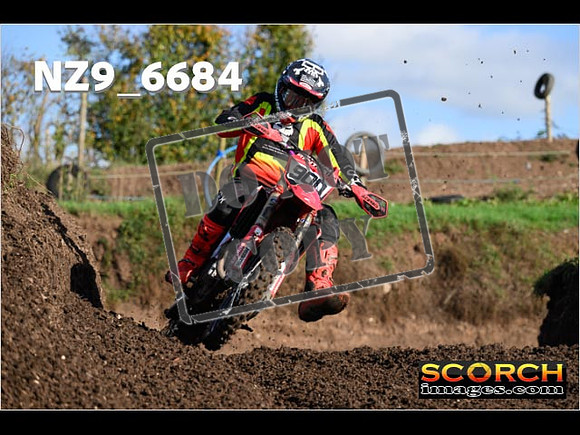 Experts-080