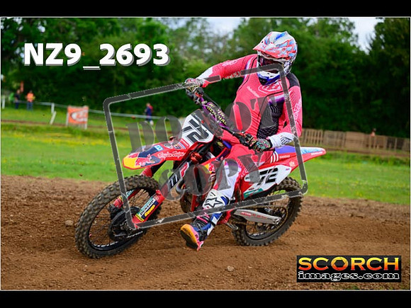 Novice-282