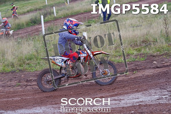 IMGP5584