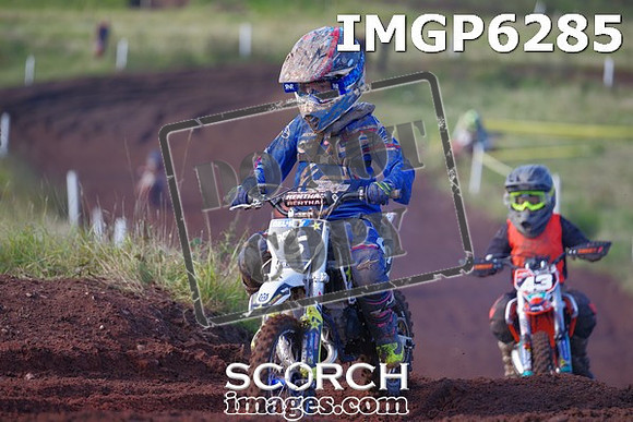 IMGP6285