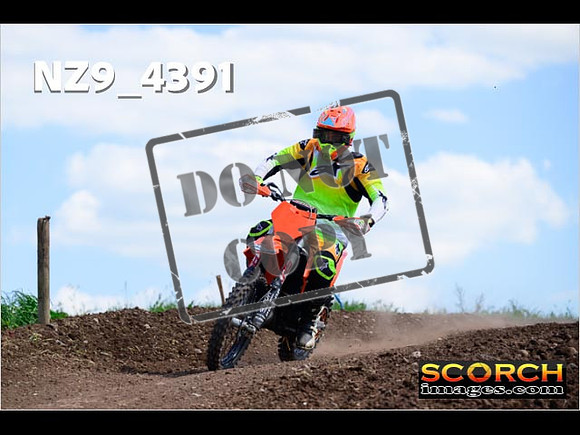 InterGreen-290