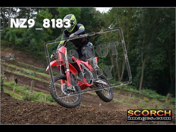 Experts-120