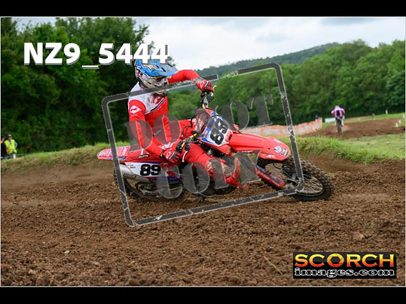 Experts-375