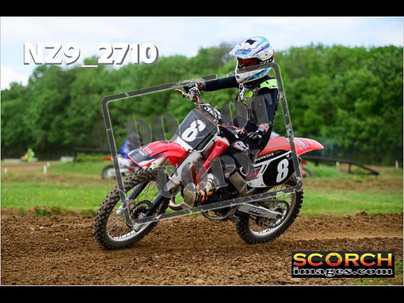 Novice-299