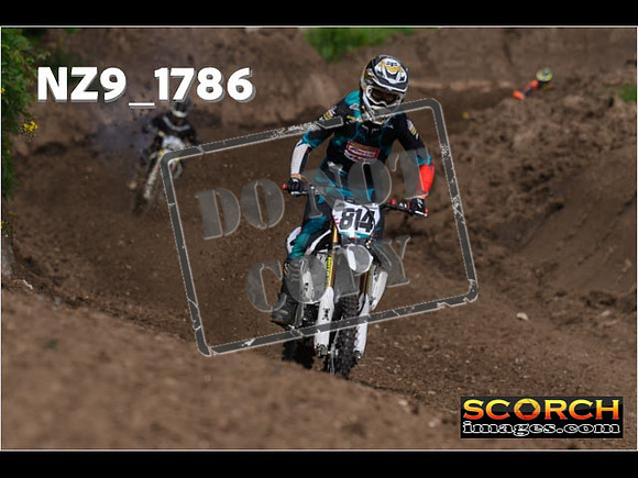 Experts-012
