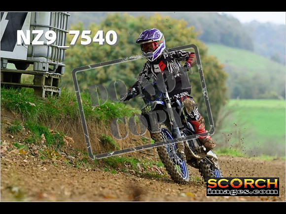 Experts-082