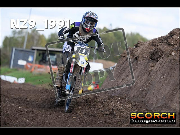 Experts-334