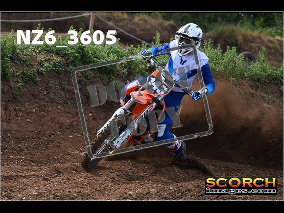 Experts-032