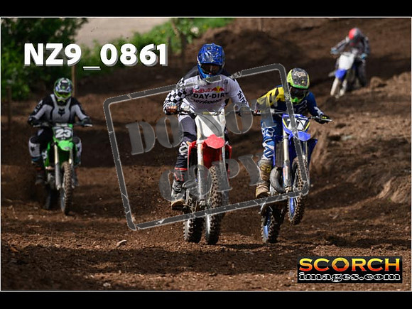 IntersGreen-391