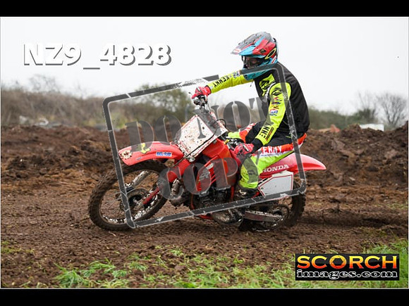 Experts-304