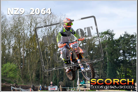 Experts-093