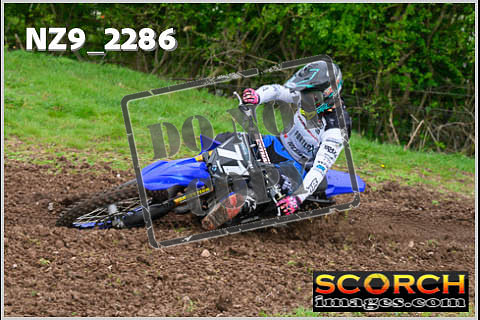 Experts-117