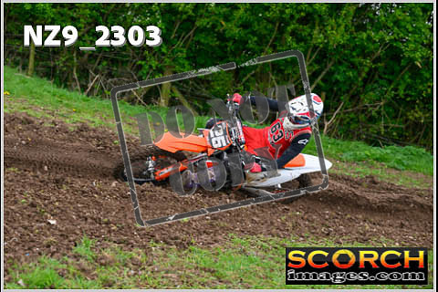 Experts-134