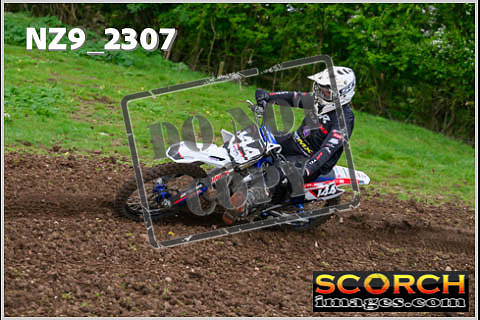 Experts-137