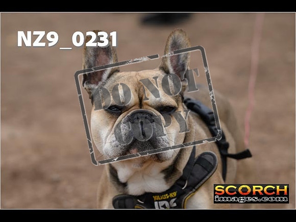 Thur25Apr-334