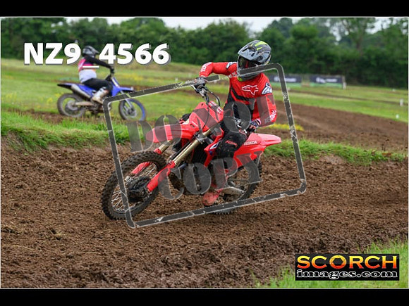 Experts-282