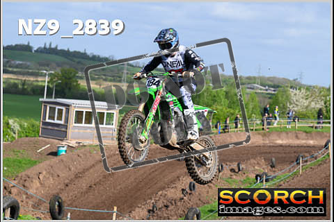 Experts-021