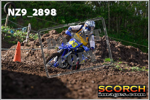 Experts-080