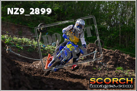 Experts-081