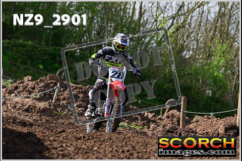 Experts-083