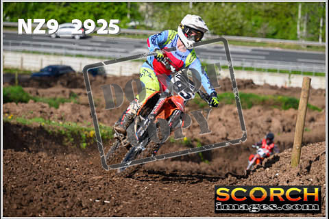Experts-106