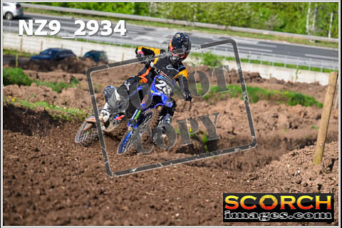 Experts-115