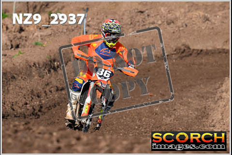 Experts-118