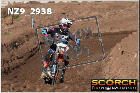 Experts-119