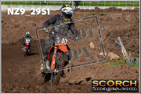 Experts-132