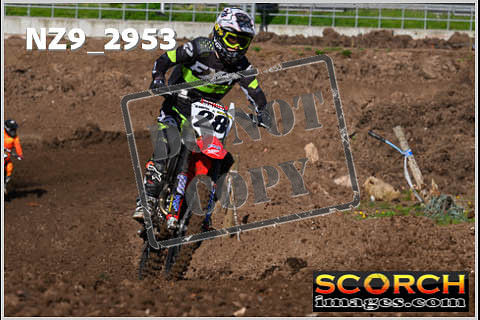 Experts-134