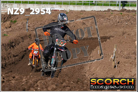 Experts-135
